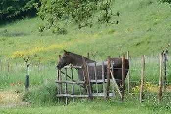 Bed & Breakfast Chambres D'hotes La Maison Aux Bambous Vinay (Marne)
