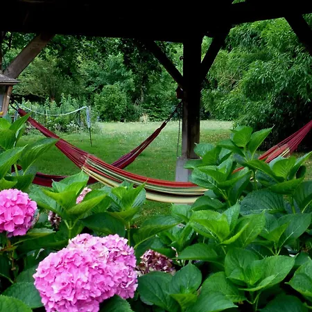 Chambres D'hotes La Maison Aux Bambous Bed & Breakfast