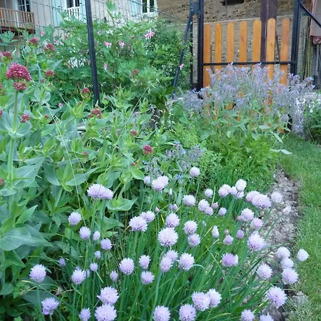 Bed & Breakfast Chambres D'hotes La Maison Aux Bambous